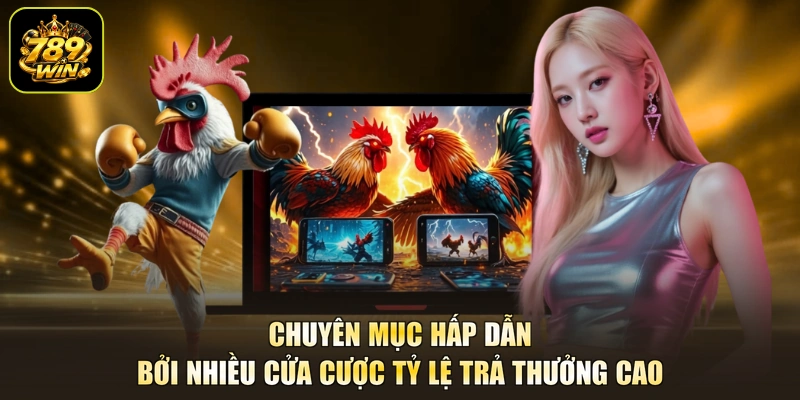 Chuyên mục hấp dẫn bởi nhiều cửa cược tỷ lệ trả thưởng cao