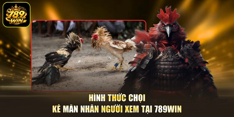 Hình thức chọi kê mãn nhãn người xem tại 789WIN