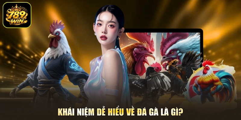 Khái niệm dễ hiểu về đá gà là gì?